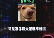 娱乐八卦吃瓜是真的吗,吃瓜真相，是真是假？