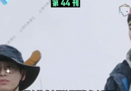 娱乐吃瓜结局视频在线观看,揭秘幕后真相，明星命运大反转！